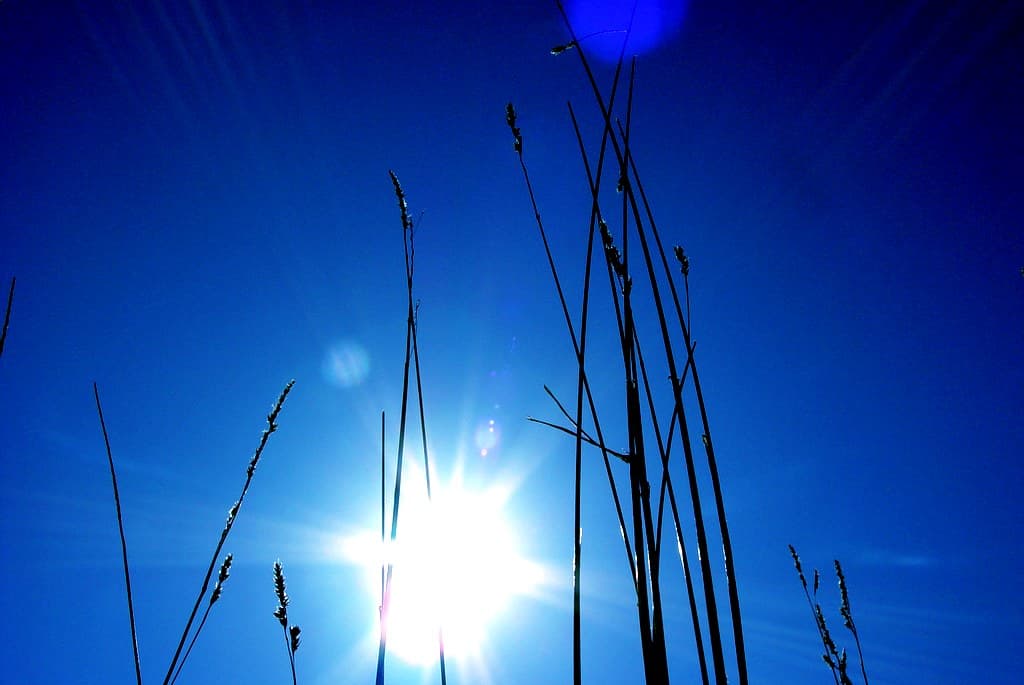 Blue sky, bright light