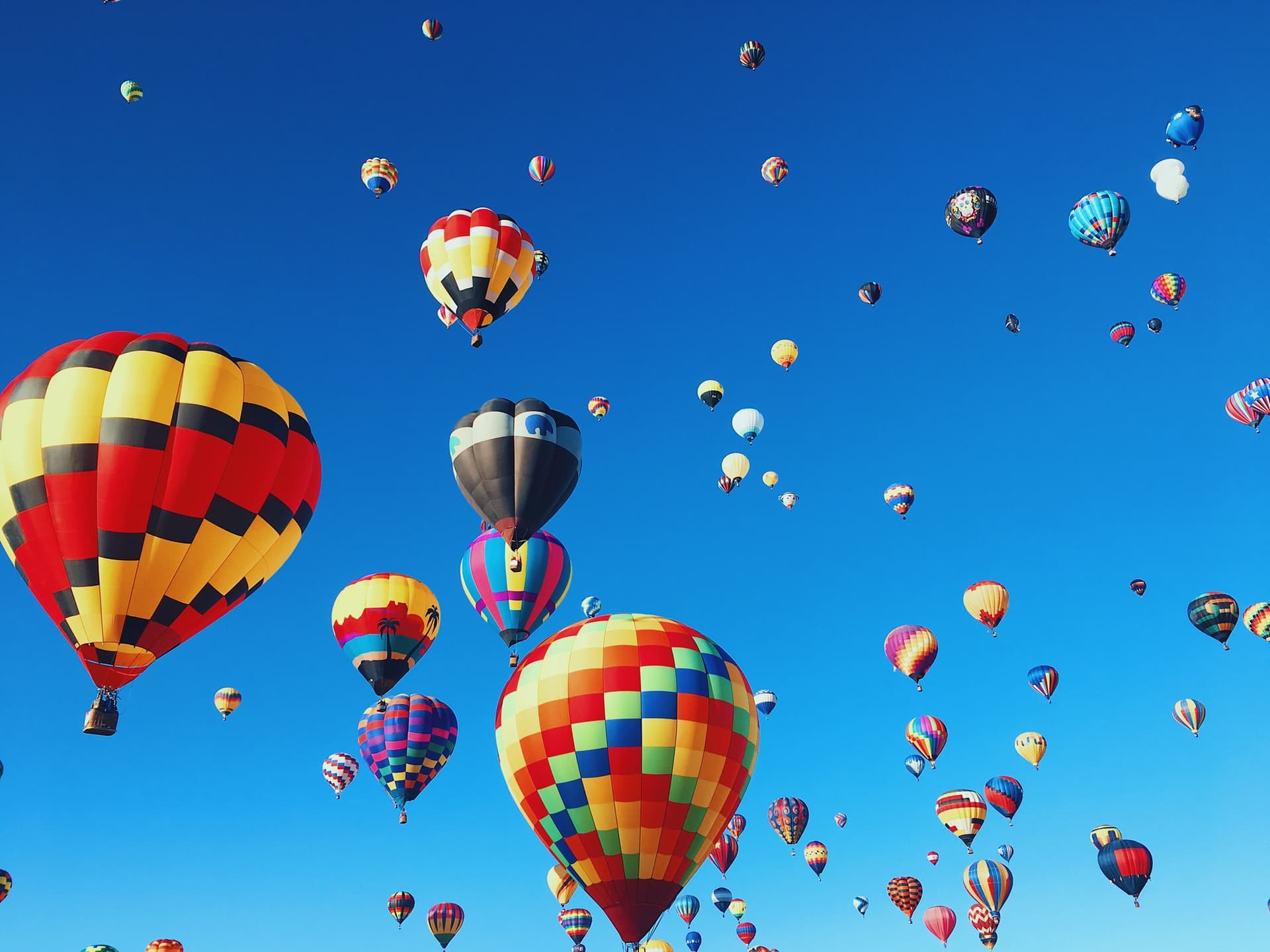 A sky full of hot air balloons