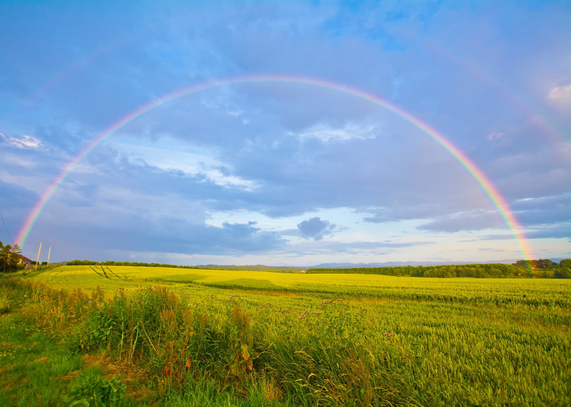 Rainbow over a green field